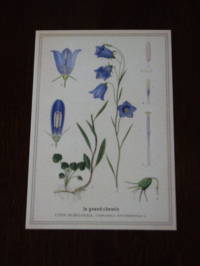 おしゃれなフラワーカード