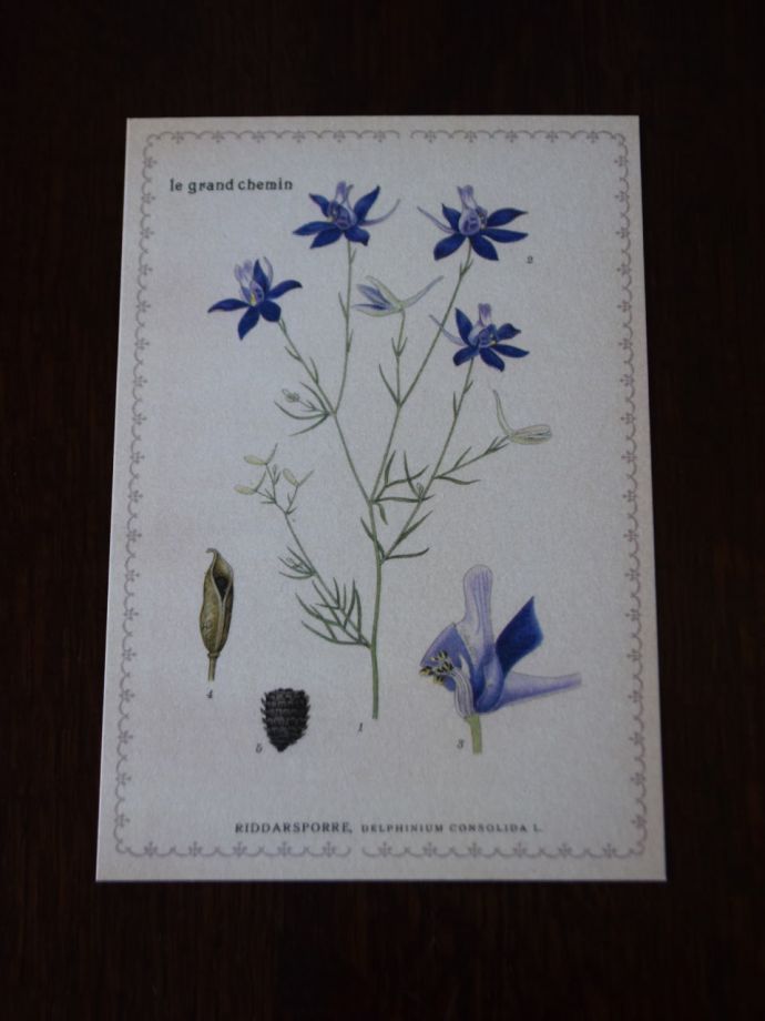 フランス　アンティーク　フォトフレーム　フラワーカード付き 真鍮のガーランドの飾り付きガラスフォトフレーム19C後期から20C初頭