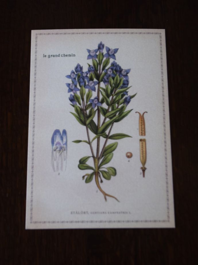 おしゃれなポストカードセット