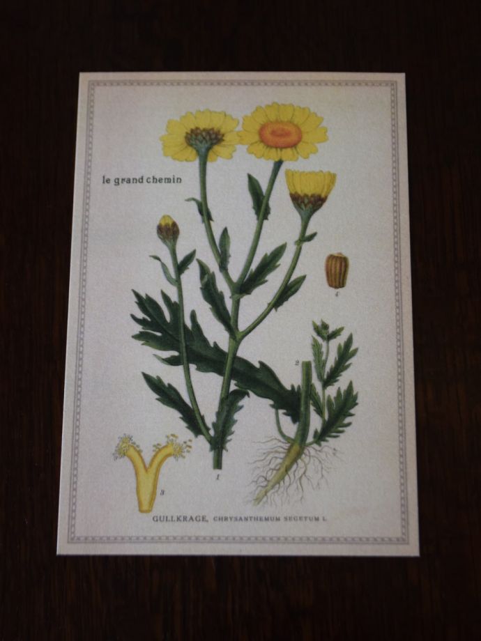 可愛いポストカード