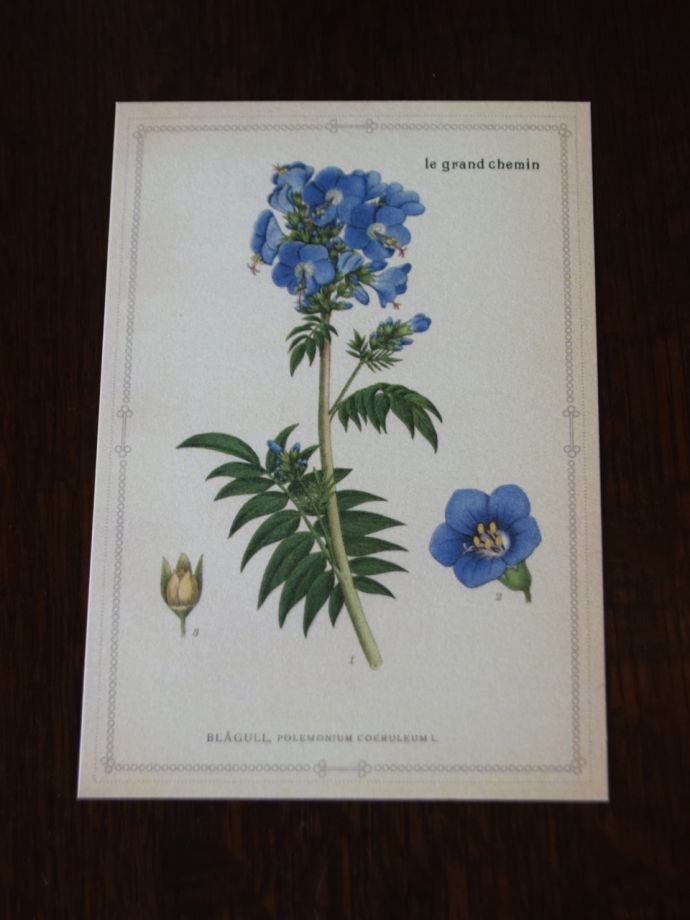 いろんな使い方で楽しめます