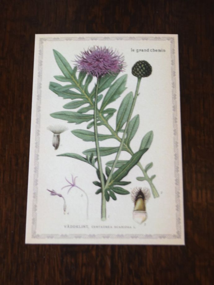 フランスらしいおしゃれなデザイン