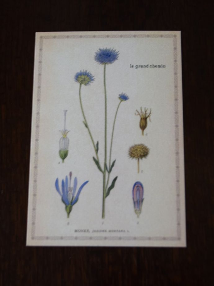 フランス　アンティーク　フォトフレーム　フラワーカード付き リボンと忘れな草のヴィンテージゴールドフォトフレーム 額縁 薔薇