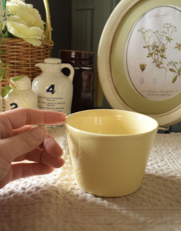 おしゃれな陶器の食器、優しいクリームイエローのボウル(n18-023