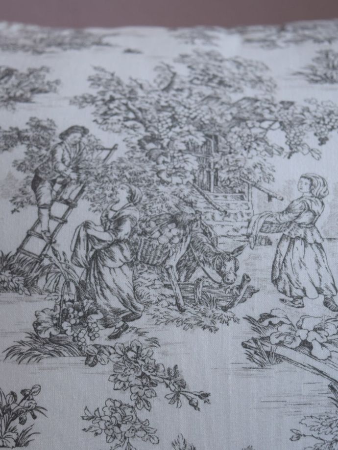 トワル・ド・ジュイのクッション