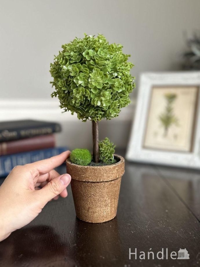 映える卓上トピラリー