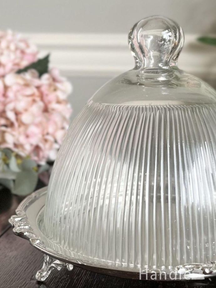 アンティーク風のおしゃれなガラスドーム