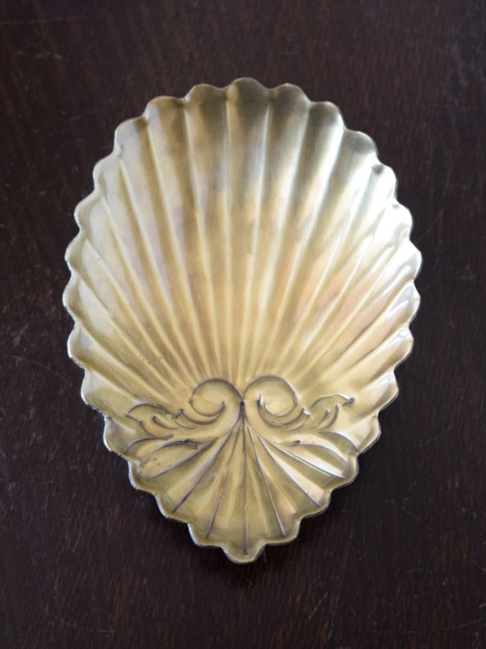 可愛い貝殻モチーフのプレート