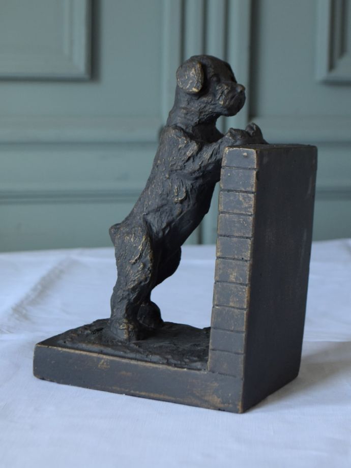 2匹セットでお届けします