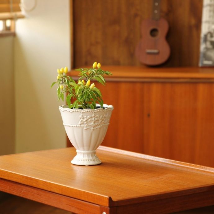 おしゃれなフラワーポット