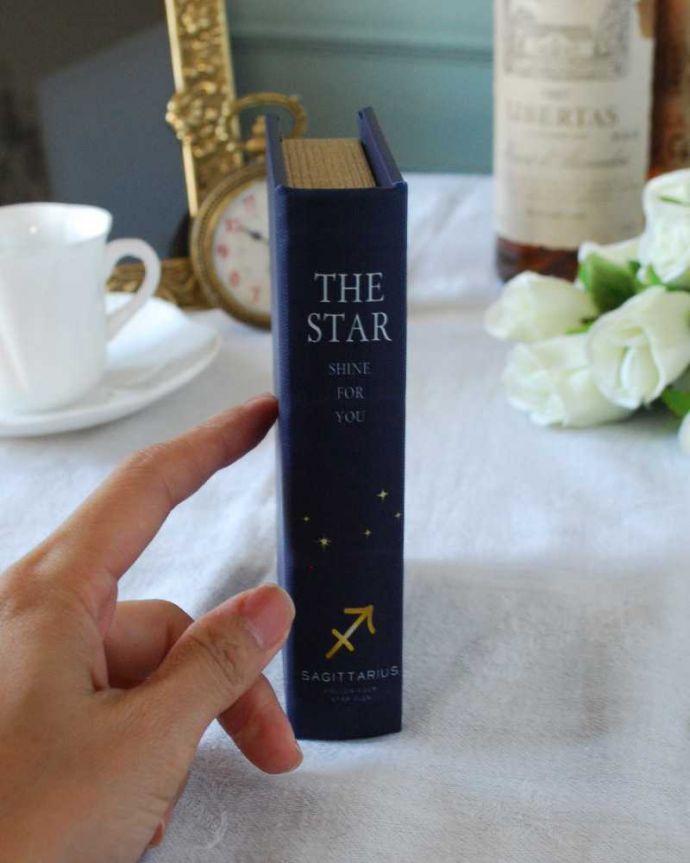 リビング雑貨 インテリア雑貨 いて座の方に使ってもらいたい、キラキラ輝くブック型ボックスSagittarius。背表紙もステキ立てて置くと、まるで本物の本のよう。(n5-151)