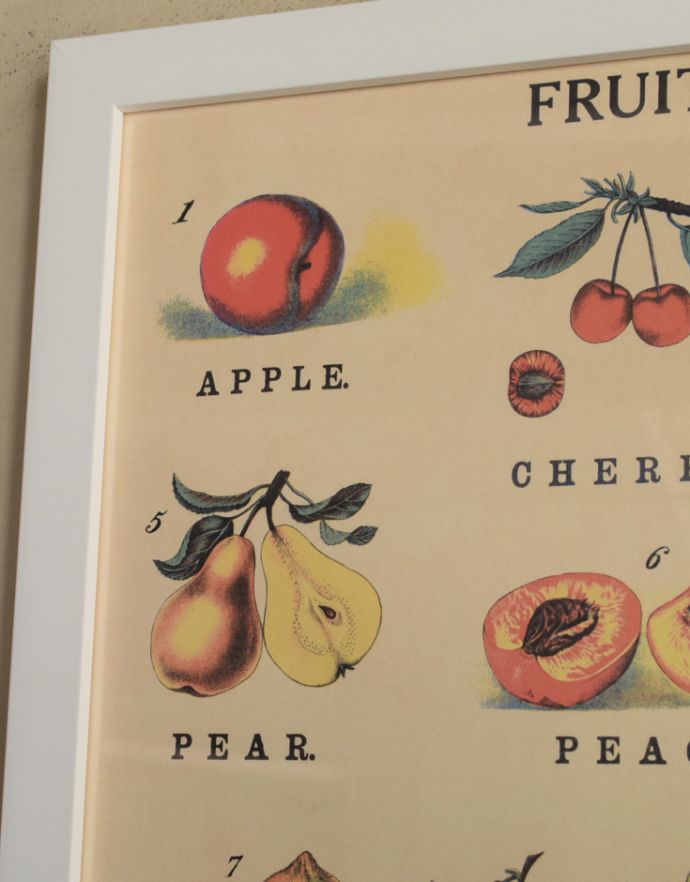 リビング雑貨　インテリア雑貨　Cavallini社アートフレーム（FRUITS＆VEGETABLES）。色使いも、絵も可愛いデザインです。(n7-086)