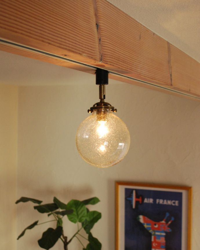 スポットライト　照明・ライティング　ガラスボールスポットライト（まん丸/バブル入り）（ダクトレール専用）（電球なし）。明かりを点けるとまるでスノードームのよう。(pl-166)