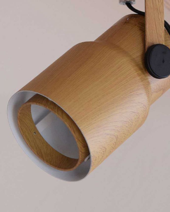 スポットライト　照明・ライティング　オシャレなダクトレール用LED電球セット付きのスポットライト。明るいナチュラルなデザインシンプルでかっこいいデザインがお部屋を照らしてくれます。(pl-202)