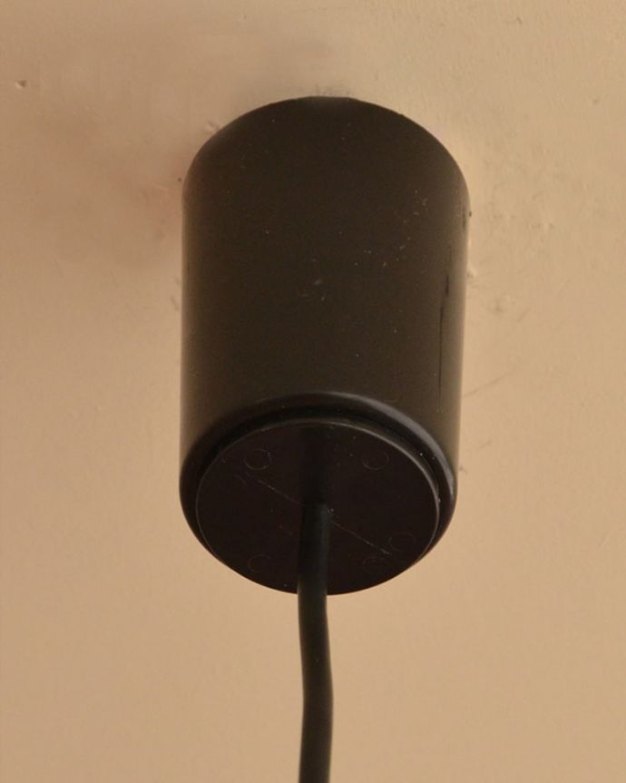 ペンダントライト 照明・ライティング ラタンのペンダントライト(E26型 60W相当ボール球LED電球(電球色)×2個・ナツメ球×1個付き)。カバーも付いています。(pl-288)