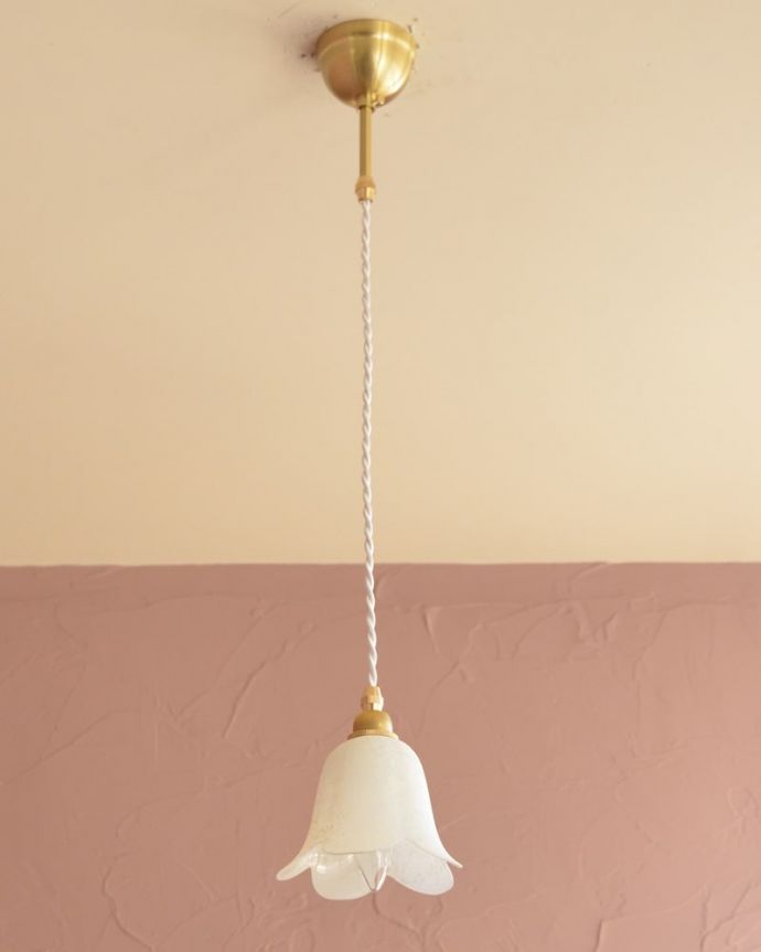 ペンダントライト　照明・ライティング　ペンダントライト(コードセット)　(pl-307)