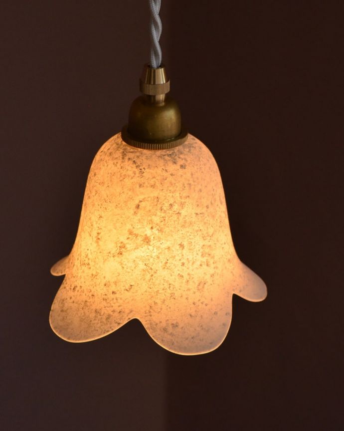 ペンダントライト　照明・ライティング　ペンダントライト(コードセット)　上から見ると･･･コードは日本仕様の新しいものです。(pl-307)