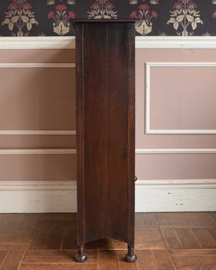 アンティークのキャビネット　アンティーク家具　書斎やリビングで使いたい英国輸入家具、素敵なアンティークブックシェルフ（本棚）。横から見ても素敵なんですもちろん、横から見てもキレイ。(q-1364-f)