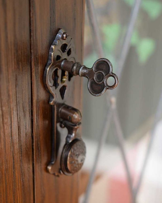 アンティークのキャビネット　アンティーク家具　英国輸入のアンティーク家具、ケイム材のガラス戸が美しいブックケース（本棚）。開ける度にワクワク･･･取っ手もアンティークらしいデザイン。(q-1501-f)