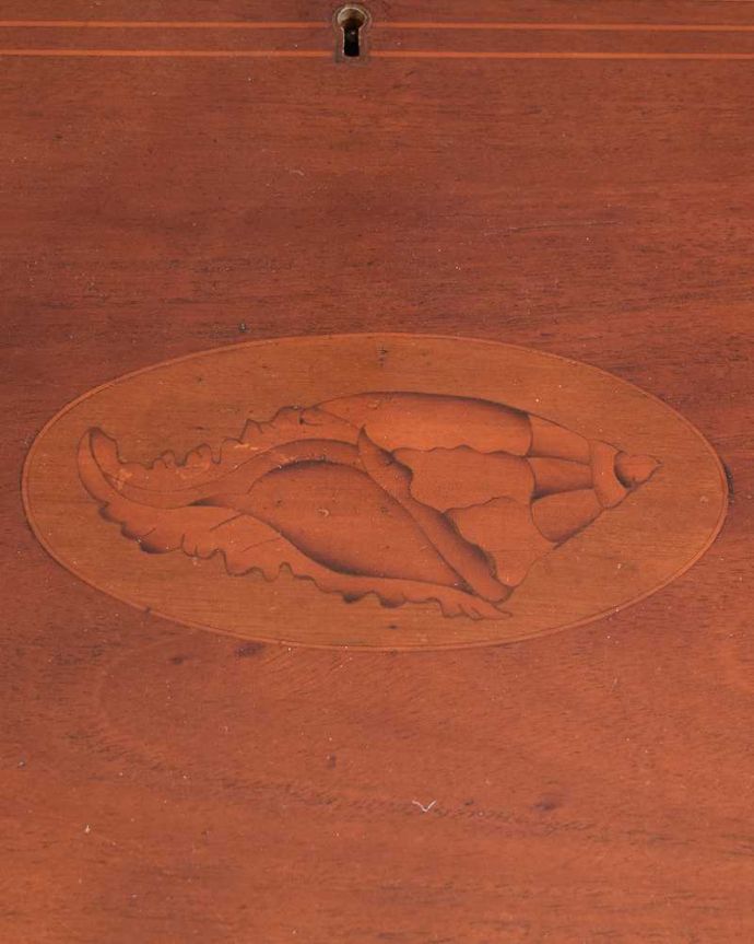 ビューロー　アンティーク家具　英国スタイルのアンティーク家具、シノワズリデザインのビューローブックケース。華やかな象嵌の模様木を組み合わせることで作る象嵌で描かれた模様。(q-1697-f)