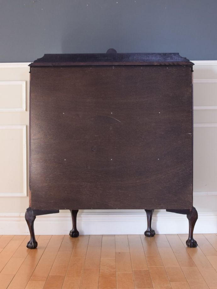 ショーケースの後ろ姿