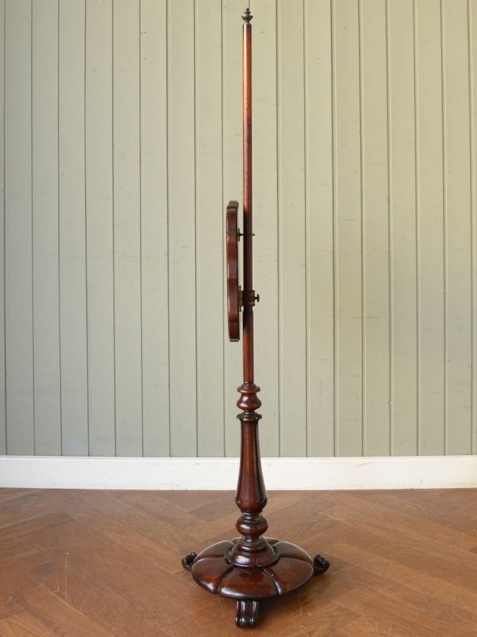 スクリーンの側面