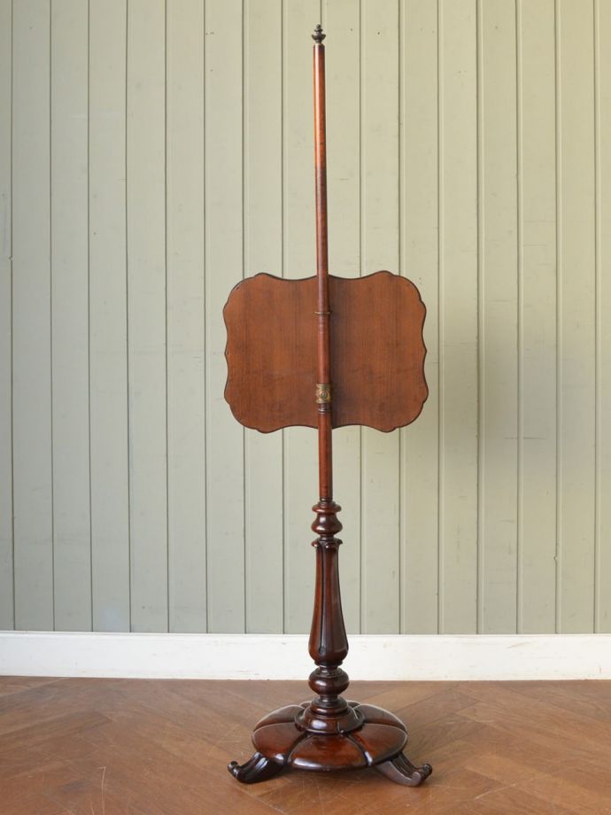 スクリーンの後ろ姿