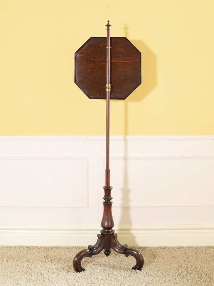 スクリーンの後ろ姿