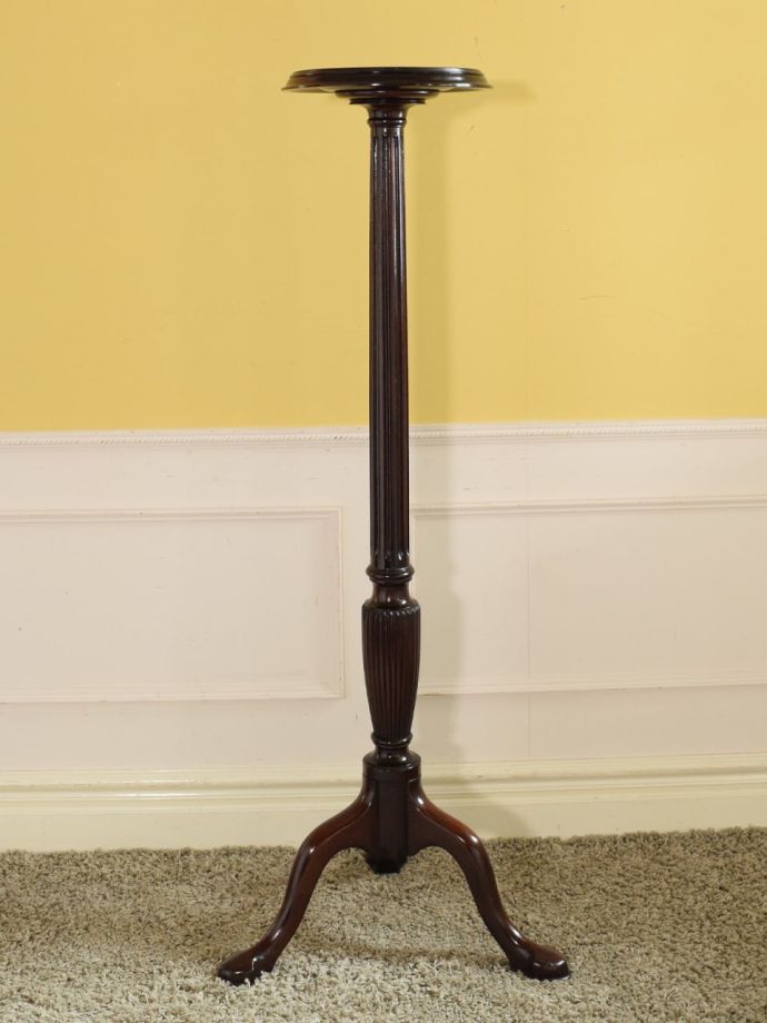 プランツスタンドの側面