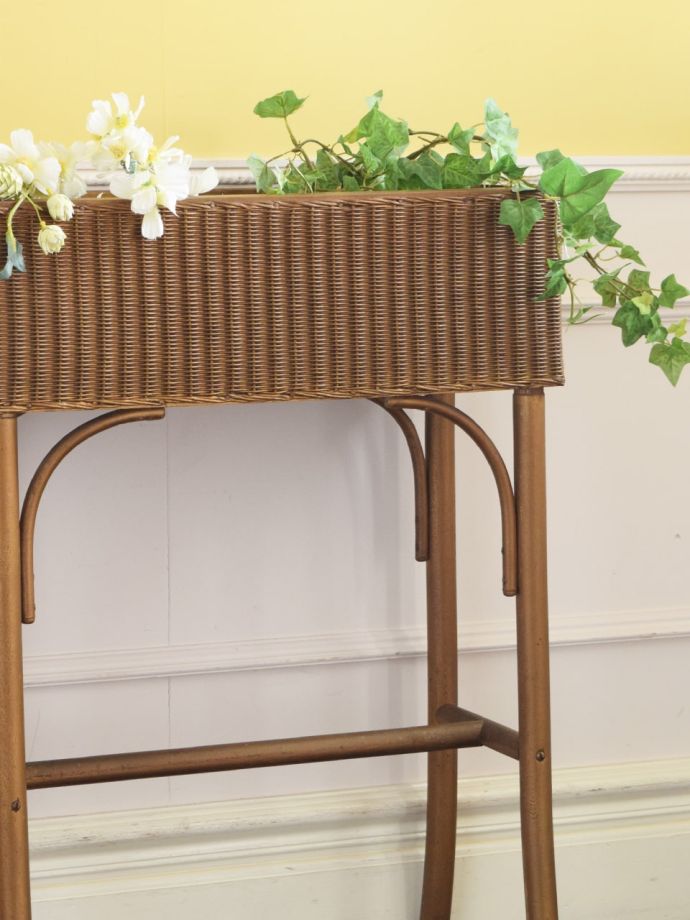 ロイドルームプランツスタンドの色