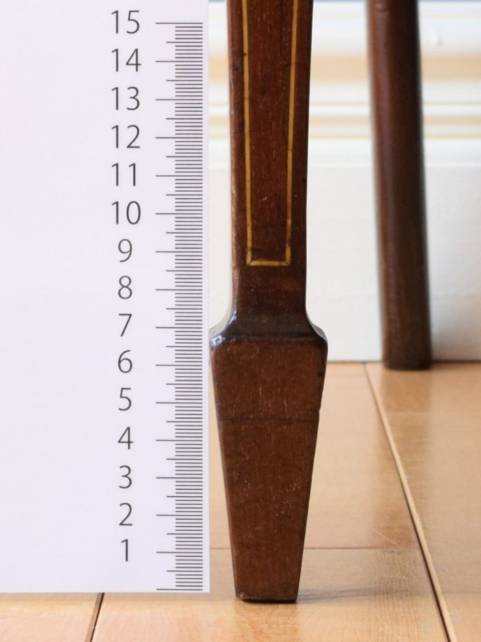 お好みの高さでカット出来ます