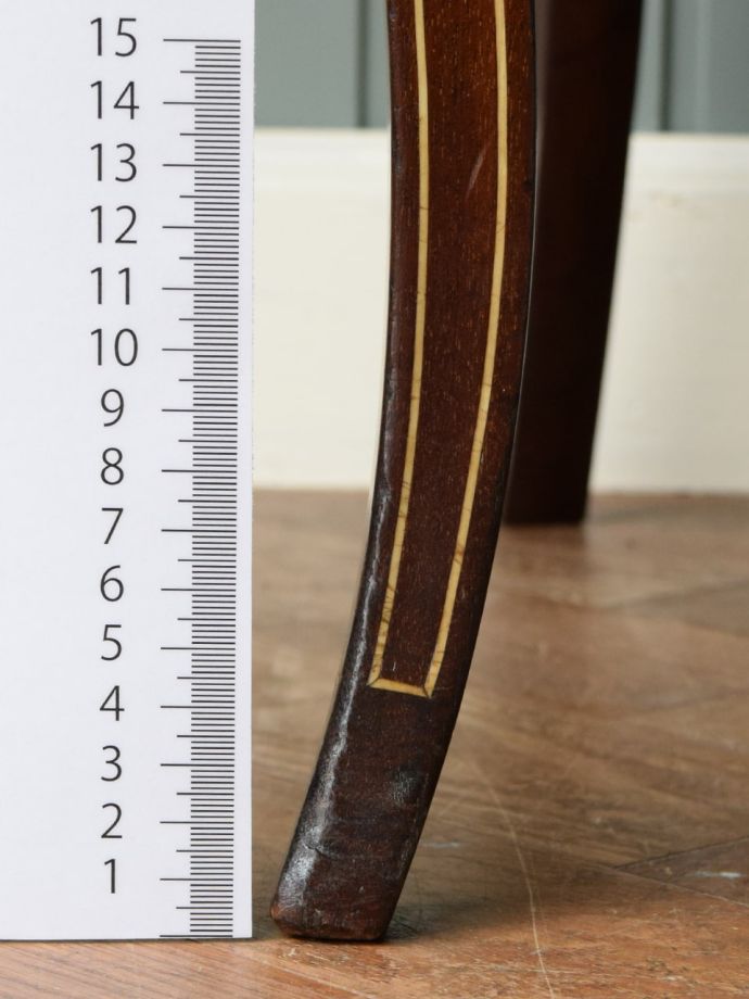 お好みの高さでカット出来ます