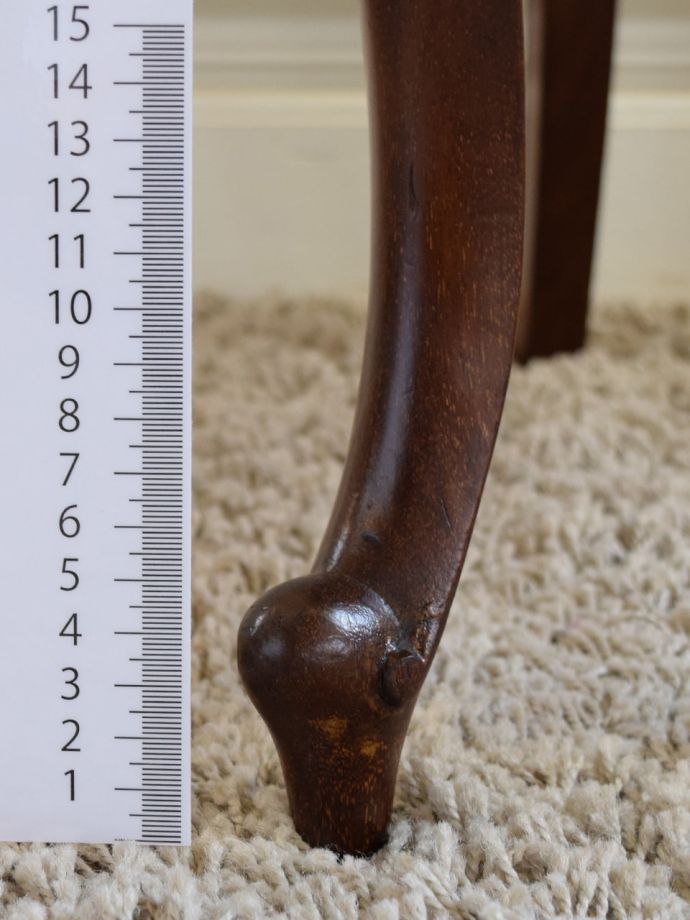 お好みの高さでカット出来ます