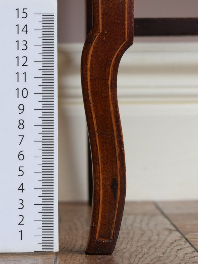 お好みの高さでカット出来ます