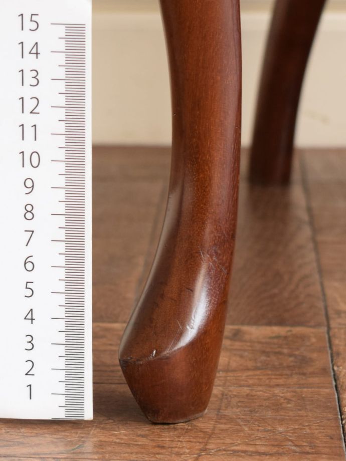 お好みの高さでカット出来ます