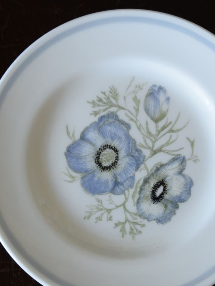 スージークーパーのアンティーク陶磁器