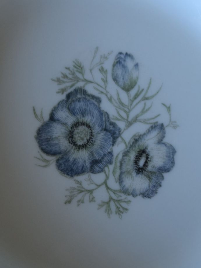 スージークーパーのアンティーク陶磁器