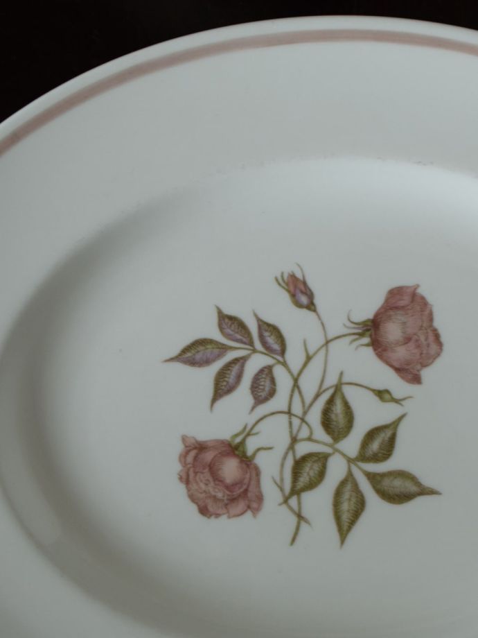 スージークーパーのアンティーク陶磁器