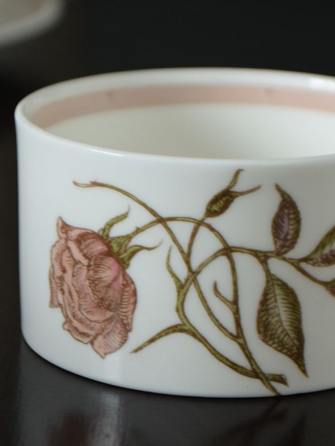 スージークーパーのアンティーク陶磁器