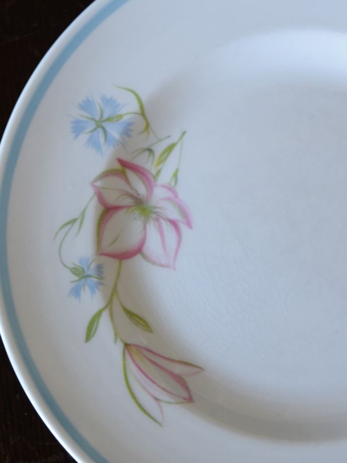 スージークーパーのアンティーク陶磁器