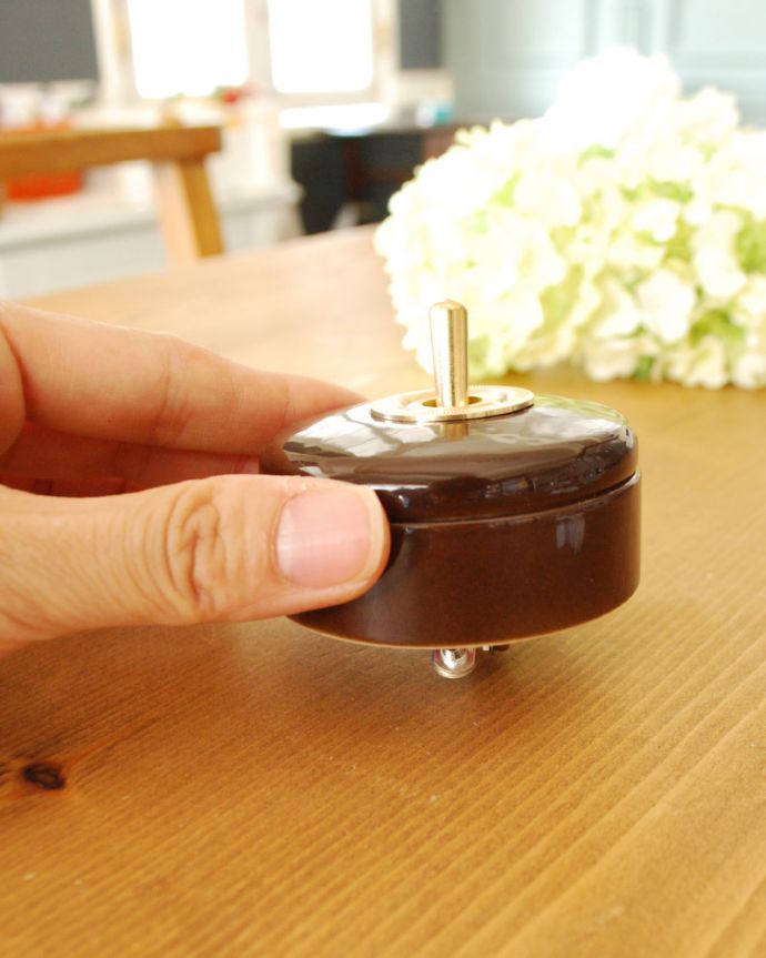 おしゃれなトグルタイプのスイッチ