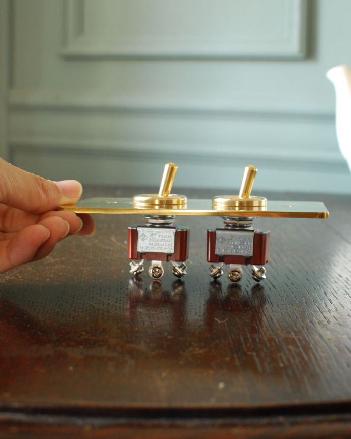 おしゃれなトグルタイプのスイッチ