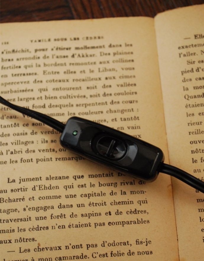 スタンドライト 照明・ライティング ガラスボウルからこぼれる明かりを楽しむテーブルランプ(電球なし)。ボタン式のスイッチになっています。(TL-0029)