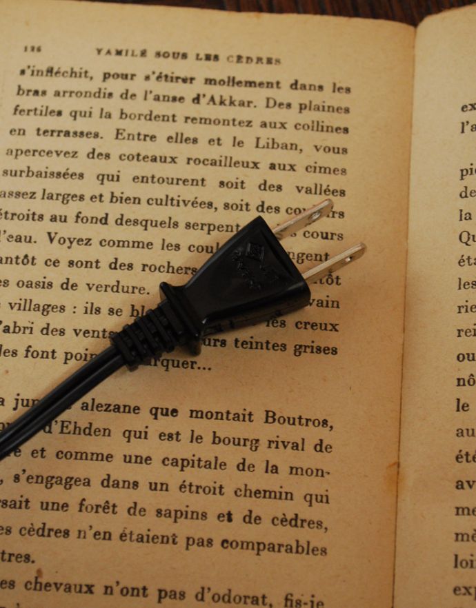 スタンドライト 照明・ライティング ガラスボウルからこぼれる明かりを楽しむテーブルランプ(電球なし)。コンセントの先端はこんな感じ。(TL-0029)