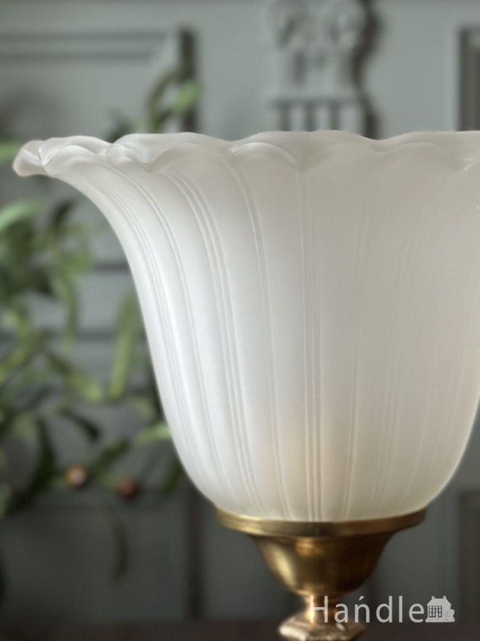 優雅なガラスのシェード