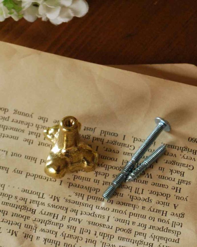 取っ手・ハンドル 住宅用パーツ 毎日使う持ち手をちょっとおしゃれに・・・真鍮製の取っ手(ベア)。取り付けもカンタン!後ろからナットで留めれば取っ手に、ビスを取り付ければフックになります。(u-533)