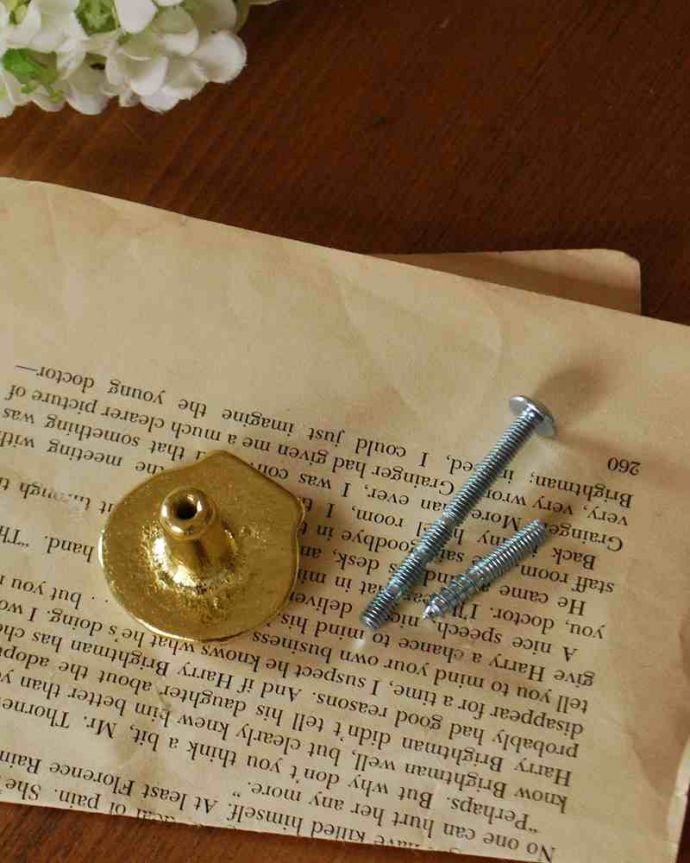 取っ手・ハンドル　住宅用パーツ　毎日使う持ち手をちょっとおしゃれに･･･真鍮製の取っ手（シェル）。取り付けもカンタン！後ろからナットで留めれば取っ手に、ビスを取り付ければフックになります。(u-535)