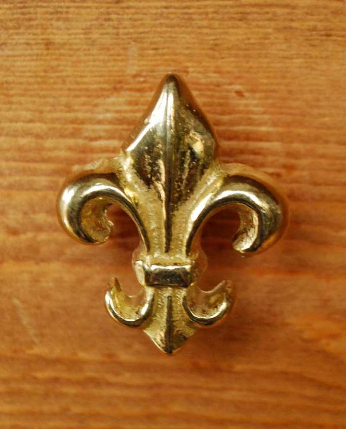 取っ手・ハンドル　住宅用パーツ　毎日使う持ち手をちょっとおしゃれに･･･真鍮製の取っ手（リリー）。遊び心あふれるオシャレなデザインパッと目を惹く可愛いデザイン。(u-536)