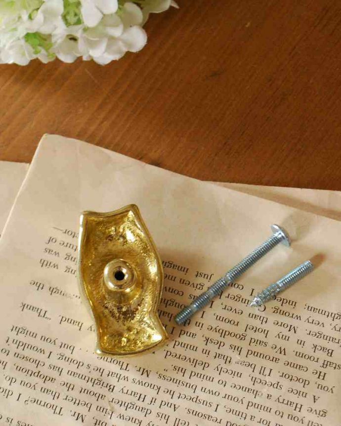 取っ手・ハンドル　住宅用パーツ　毎日使う持ち手をちょっとおしゃれに･･･真鍮製の取っ手（フクロウ）。取り付けもカンタン！後ろからナットで留めれば取っ手に、ビスを取り付ければフックになります。(u-537)