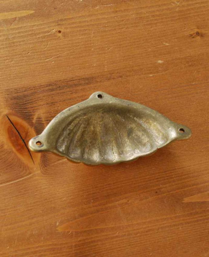 取っ手・ハンドル　住宅用パーツ　アンティーク風のおしゃれな取っ手、貝殻モチーフのアンティーク風ハンドル。裏側はこんな感じです※ビスもセットでお届けします。(u-611-r)